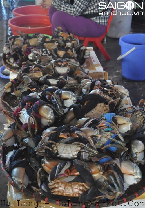 Ngắm thiên đường hải sản ở chợ Hạ Long
